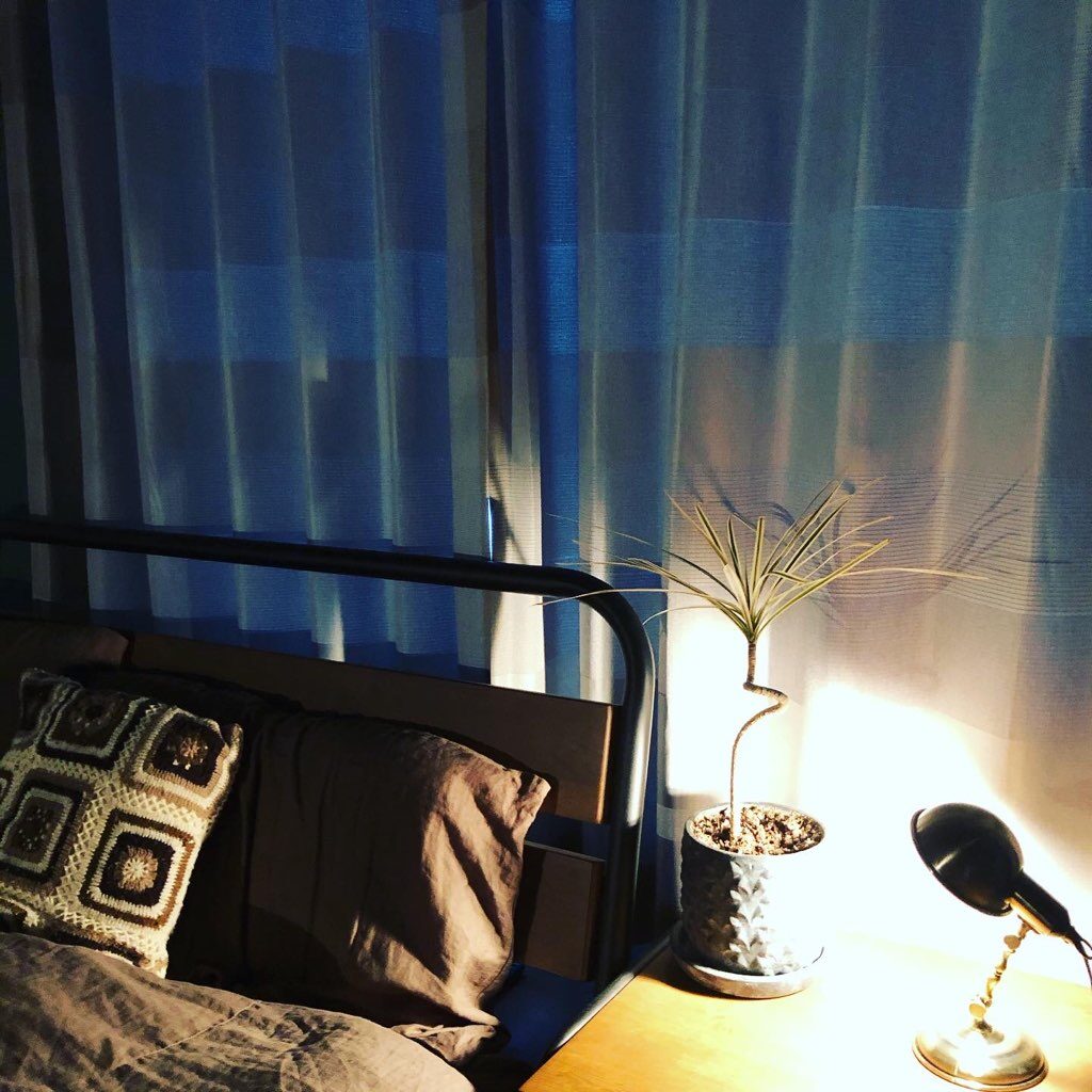 主照明を消して、間接照明の灯りでリラックスしましょう。